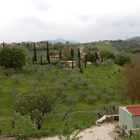Bed and Breakfast Il Gelsomino Frasso Sabino Exterior foto