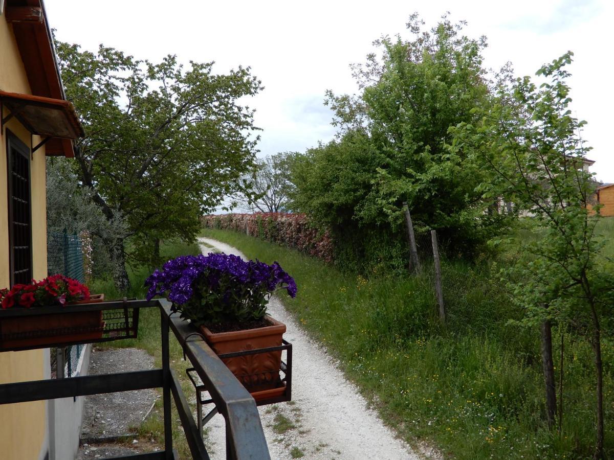 Bed and Breakfast Il Gelsomino Frasso Sabino Exterior foto